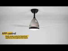 Geräuschloser Deckenlüfter 110V 240V Dimmable LED mit 3 Farben ändern Licht