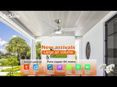 3 Klingen Deckenventilator mit leichten DC-Motor 6-Gang-Wahl Moderne Stil