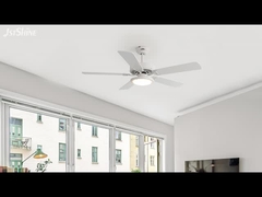 Die in Absatz 1 genannten Anforderungen gelten nicht für die Produktion von Kraftfahrzeugen.