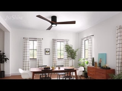 Die in Absatz 1 genannten Vorschriften gelten für die in Absatz 1 genannten Fahrzeuge.