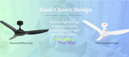 Aktuelle Unternehmensnachrichten über Ein Fan, viele Möglichkeiten: Anpassbare Optionen von 1stShine